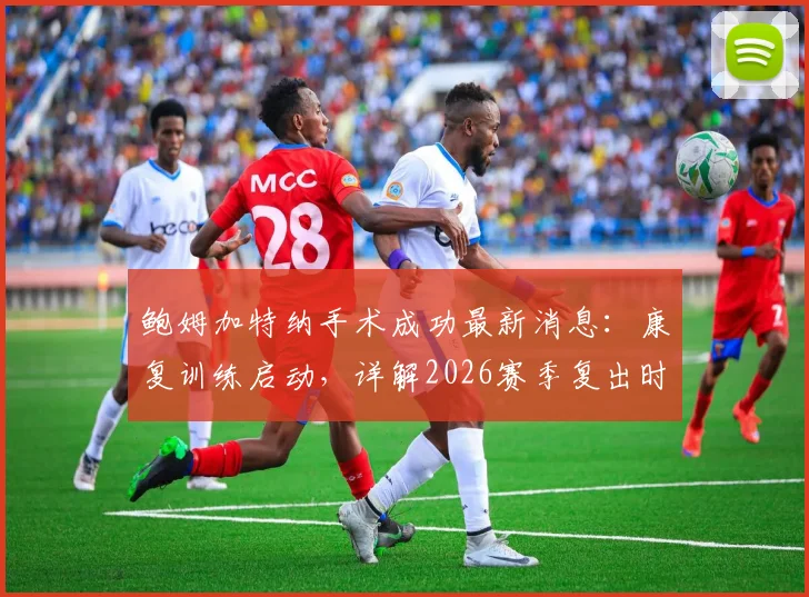 鲍姆加特纳手术成功最新消息：康复训练启动，详解2026赛季复出时间表与前景